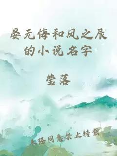 晏无悔和凤之辰的小说名字