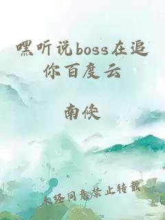 嘿听说boss在追你百度云