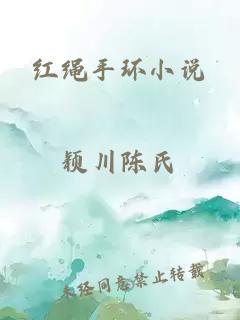 红绳手环小说