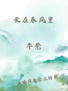 长在春风里