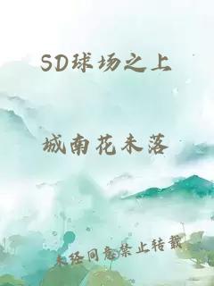 SD球场之上