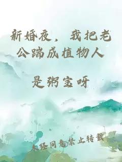 新婚夜，我把老公踹成植物人