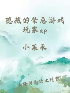 隐藏的禁忌游戏玩家np